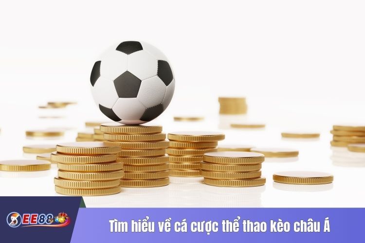 Tìm hiểu về cá cược thể thao kèo châu Á