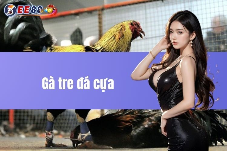 Gà tre đá cựa và phương pháp lựa chọn kê tốt tại EE88