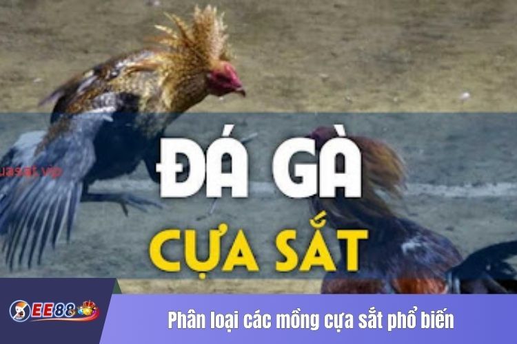 Phân loại các mồng cựa sắt phổ biến