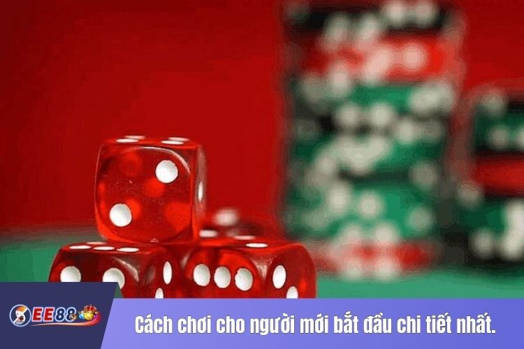 Cách chơi cho người mới bắt đầu chi tiết nhất.